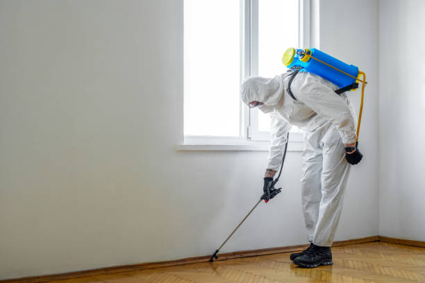 Best Flea Control Services  in Morningside, MD