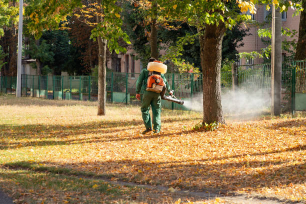 Best Residential Pest Control  in Morningside, MD