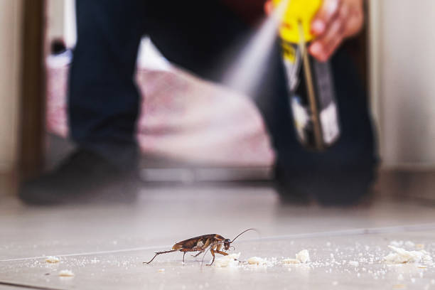 Best Commercial Pest Control Services  in Morningside, MD